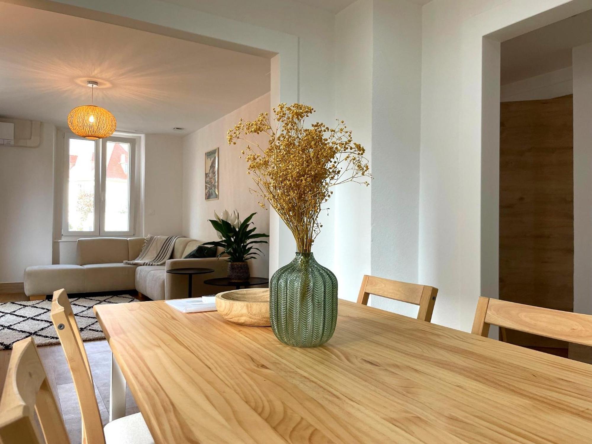 Appartement Moderne Et Spacieux, A 10 Min De La Gare 科尔马 外观 照片