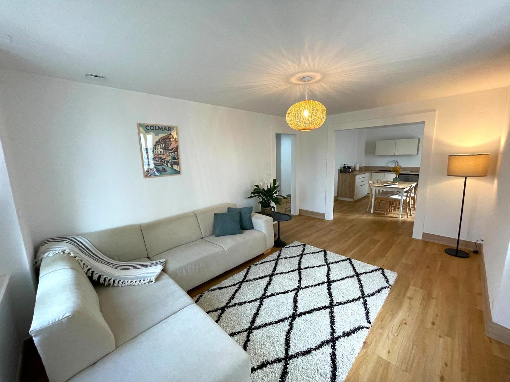 Appartement Moderne Et Spacieux, A 10 Min De La Gare 科尔马 外观 照片