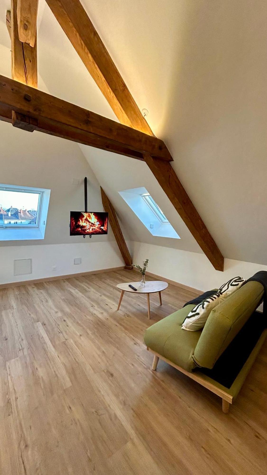 Appartement Moderne Et Spacieux, A 10 Min De La Gare 科尔马 外观 照片