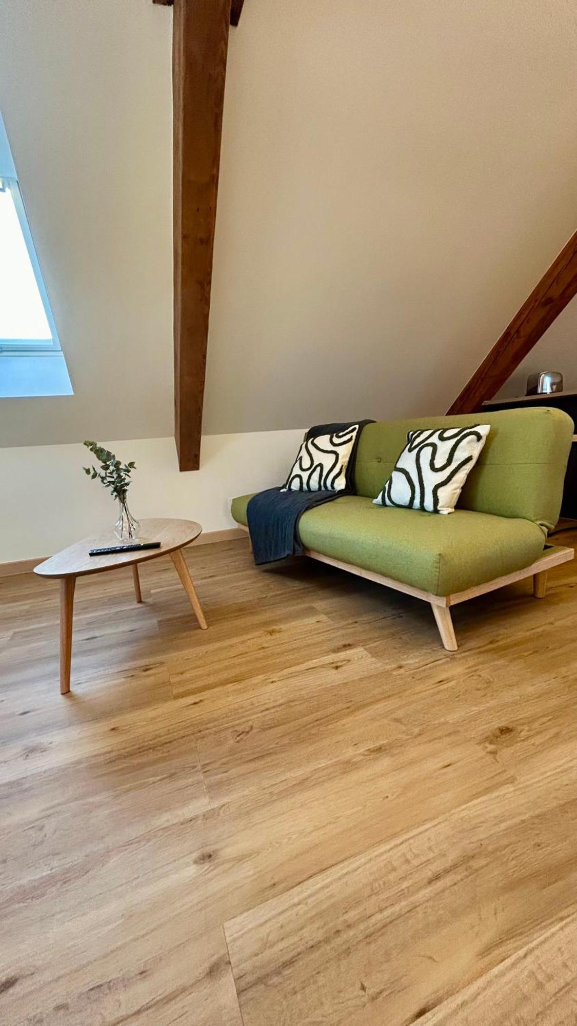 Appartement Moderne Et Spacieux, A 10 Min De La Gare 科尔马 外观 照片
